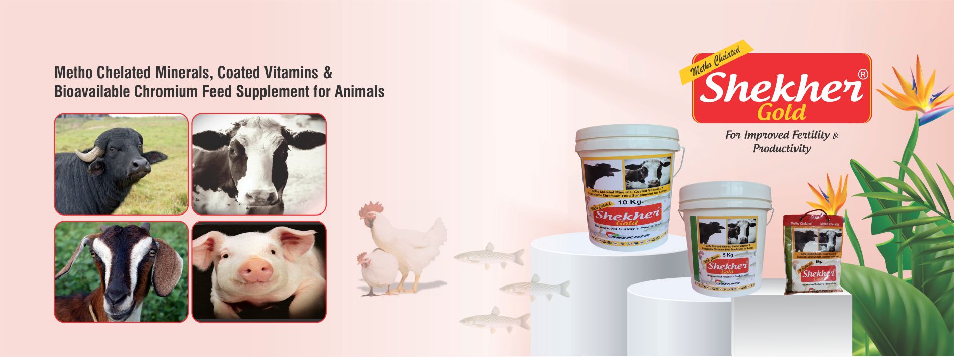 The Importance of Regular Veterinary Check-Ups