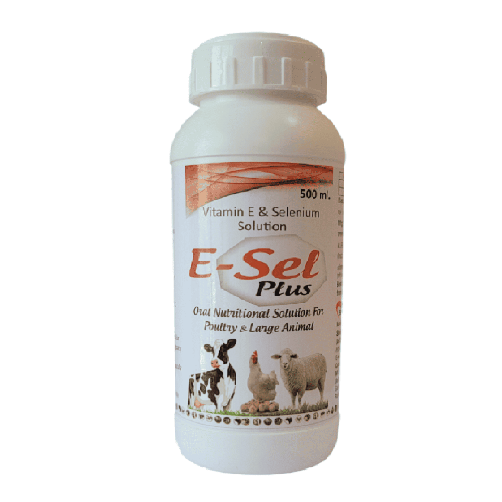 ESEL PLUS LIQUID