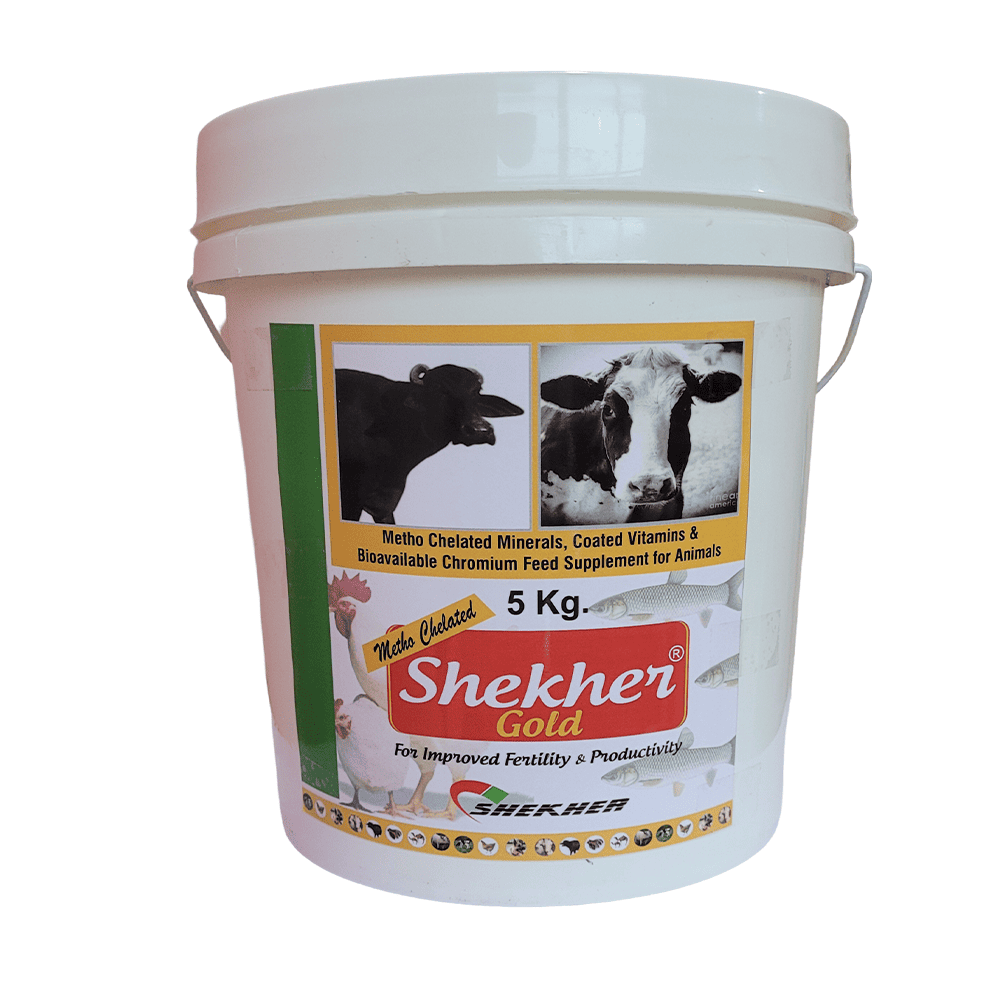 METHO CHELATED SHEKHER GOLD  POWDER