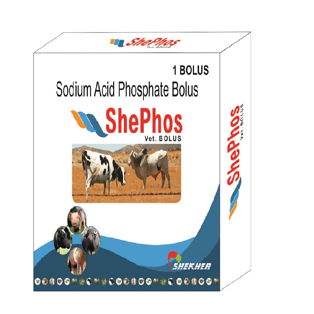 SHEPHOS BOLUS